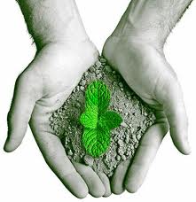 Projeto Vida: Educação Ambiental e Proposta Metodológica