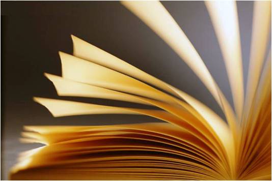 Leitura, um novo recomeço