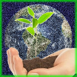 Atitudes verdes: A importância da escola para a sustentabilidade