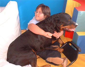 Terapia com Animais