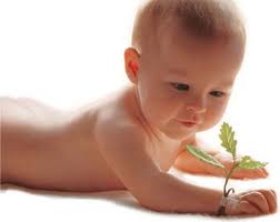 50 Atividades para o Berçário e Maternal – Ideias Criativas e Educacionais