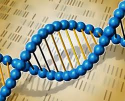 Apostila de Biologia para o Ensino Médio