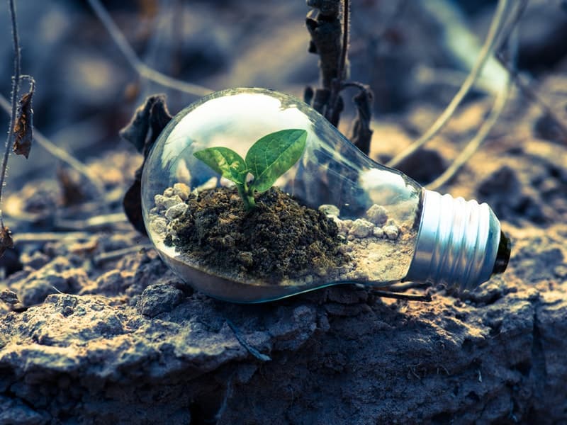 Habilidades da BNCC: Ensino Médio – Ciências da Natureza