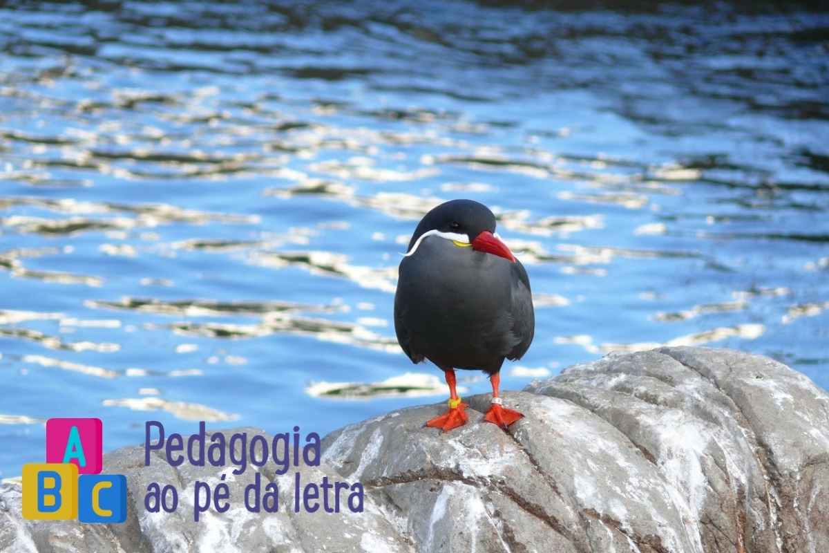 5 atividades de ciências sobre relações entre os seres vivos