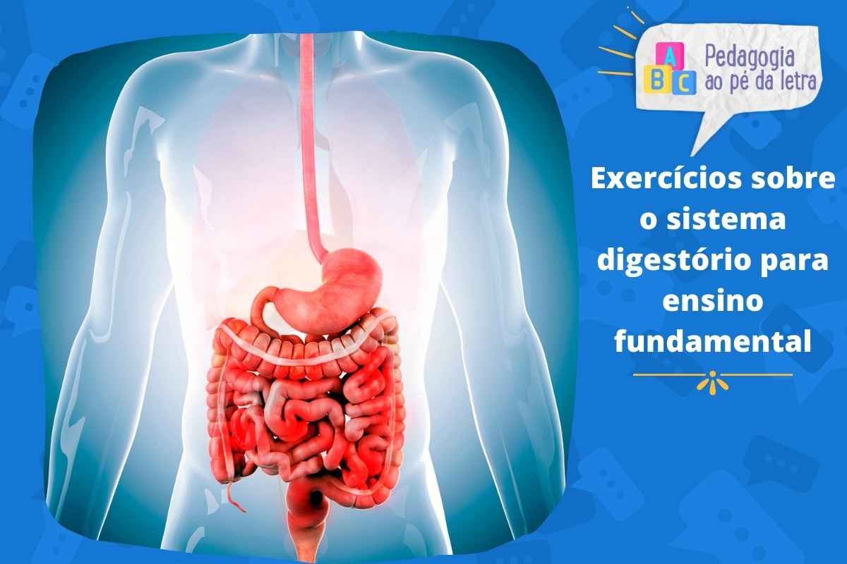5 exercícios sobre o sistema digestório para ensino fundamental