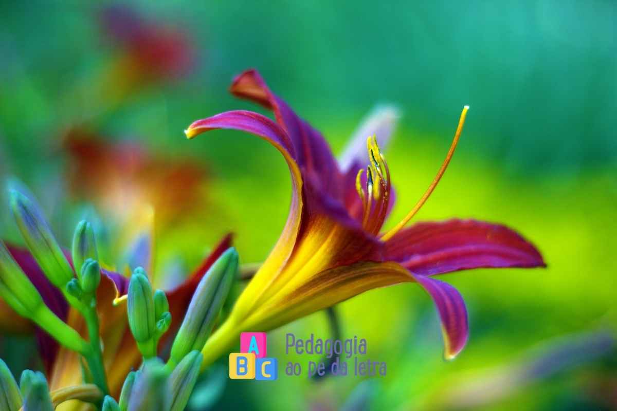 5 atividades de artes sobre cores da natureza