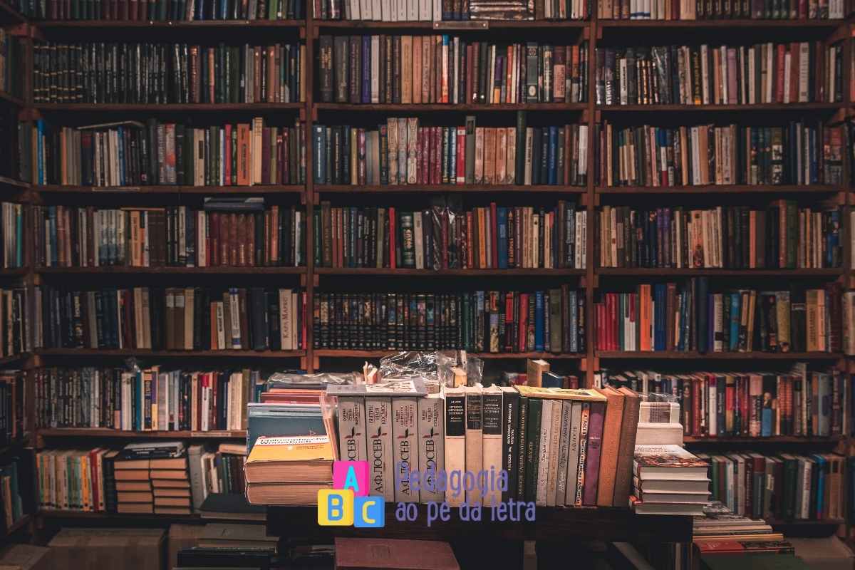 5 atividades para fazer na biblioteca: educação infantil