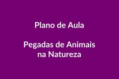 Plano de Aula BNCC – Pegadas de Animais na Natureza – Educação Infantil