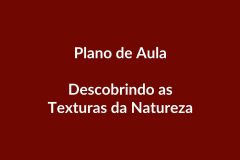 Plano de Aula – Texturas da Natureza – Educação Infantil – BNCC