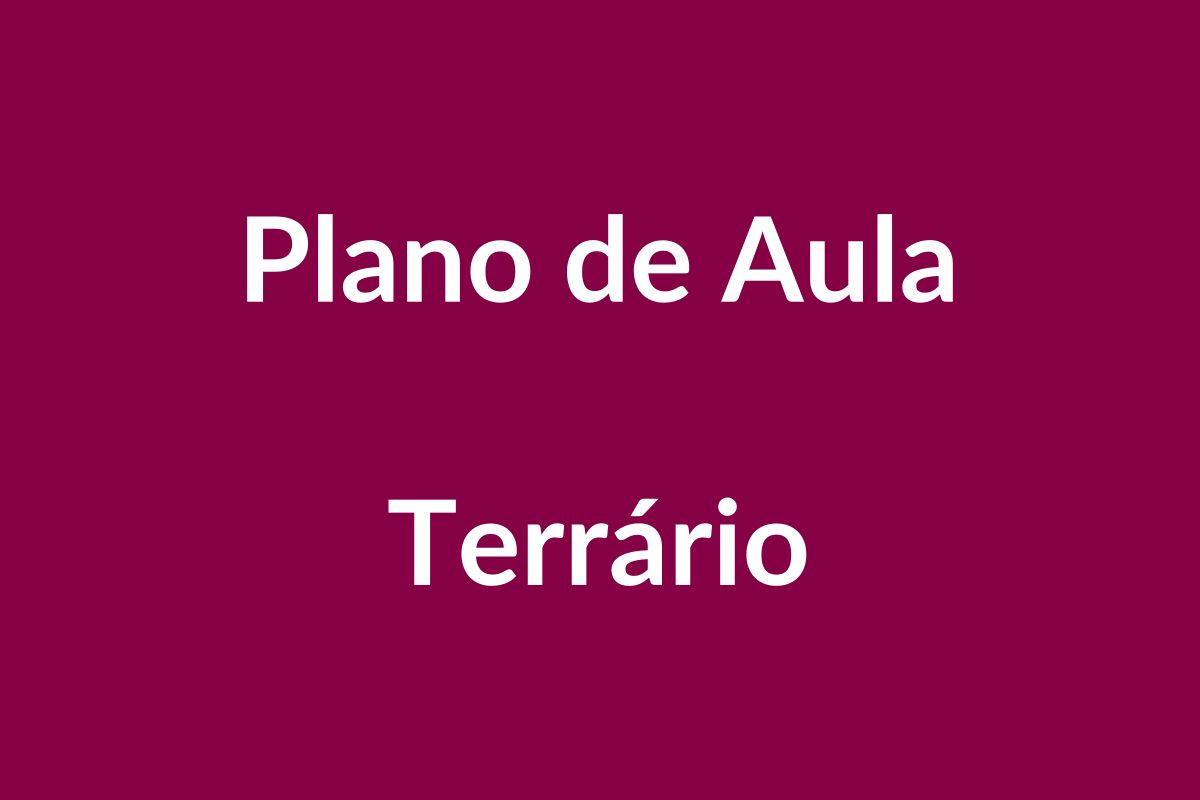 Plano de Aula Terrário – Educação Infantil – BNCC